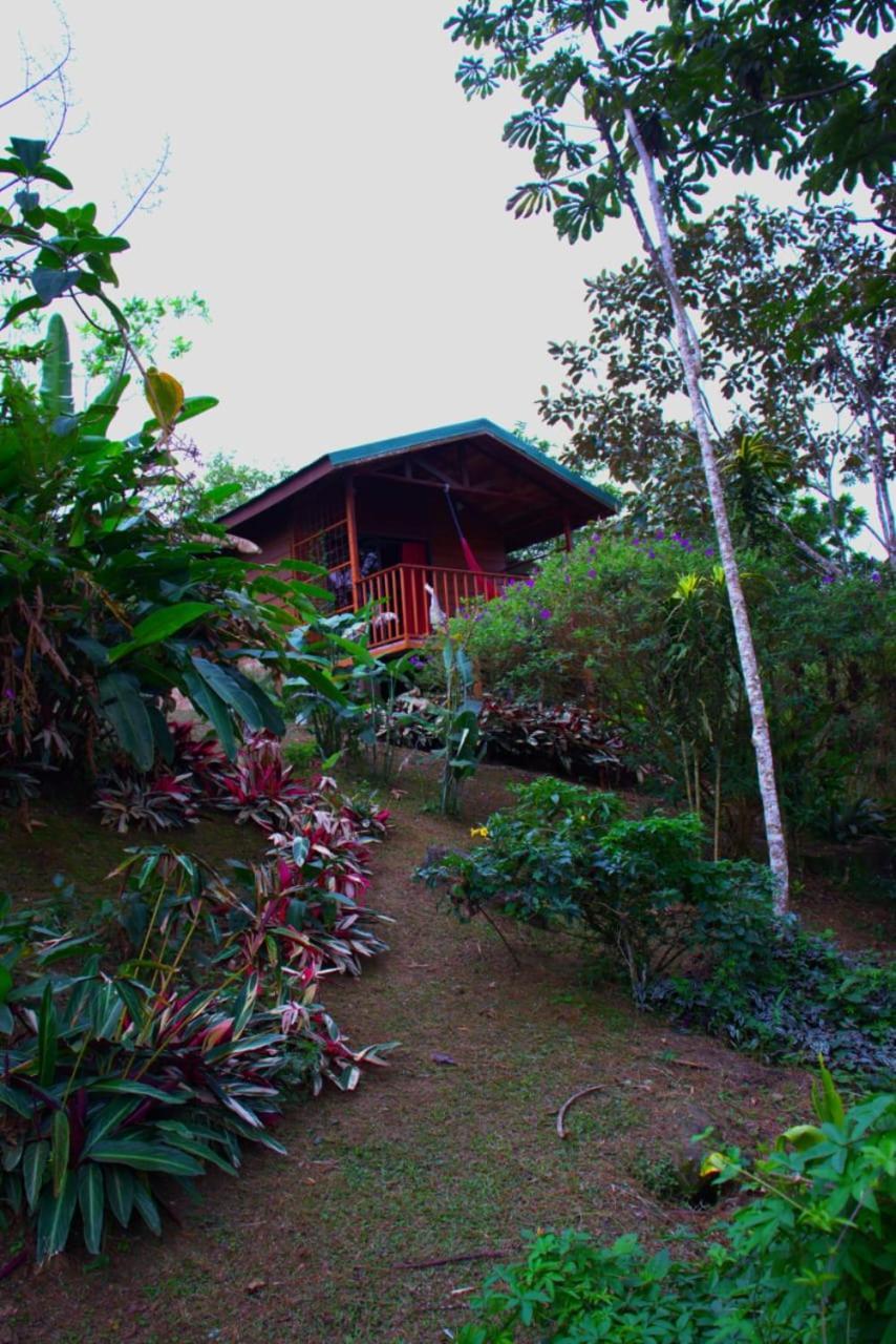 Villa Eco Granja Don Lolo Quesada  Exterior foto